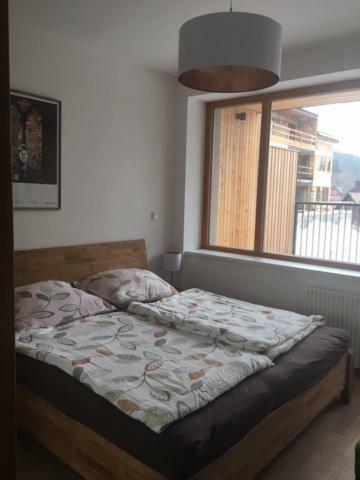 Cihadla Apartment Bedřichov